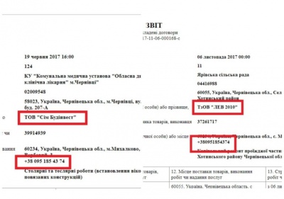 Дві фірми «розпиляли» 2,5 млн грн на реконструкцію парку в Сокирянах