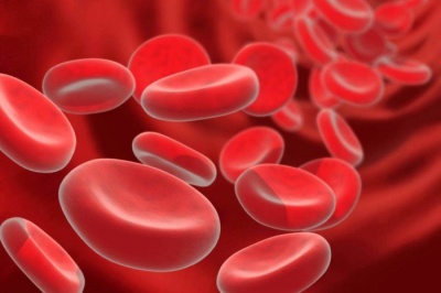 Як підвищити рівень гемоглобіну у крові: топ-7 продуктів