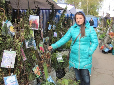 Гранат, мигдаль, «іудове дерево»: що можна придбати на виставці-ярмарку «Буковинська осінь»