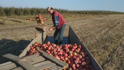 Смерть бійців на Сході та подорожчання проїзду. Головні новини Буковини за 28 жовтня