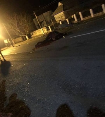 На Буковині автівка збила коня, очевидці повідомляють про смерть водіїв