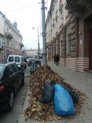 Вулиці Чернівців переповнені сміттям, санітарний стан незадовільний, - Обшанський