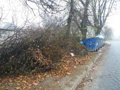 Вулиці Чернівців переповнені сміттям, санітарний стан незадовільний, - Обшанський