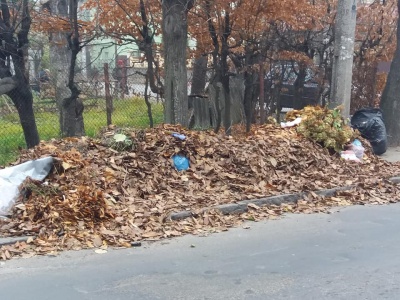 Вулиці Чернівців переповнені сміттям, санітарний стан незадовільний, - Обшанський