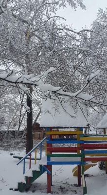 Наче зона стихійного лиха: на Буковині снігова негода повалила дерева й обірвала електролінії