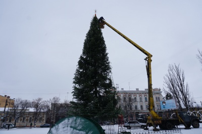 У Чернівцях почали прикрашати головну ялинку міста - фото