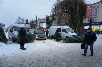 У Чернівцях на ремонтній ділянці проспекту з’явився стихійний ринок новорічних ялинок - фото