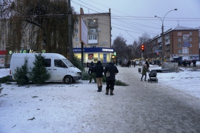 У Чернівцях на ремонтній ділянці проспекту з’явився стихійний ринок новорічних ялинок - фото