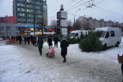 У Чернівцях на ремонтній ділянці проспекту з’явився стихійний ринок новорічних ялинок - фото