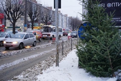 У Чернівцях на ремонтній ділянці проспекту з’явився стихійний ринок новорічних ялинок - фото