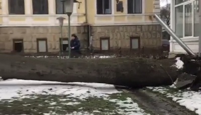 Вбивство пенсіонерки та ДТП біля Калинки: головні новини Буковини за 24 грудня