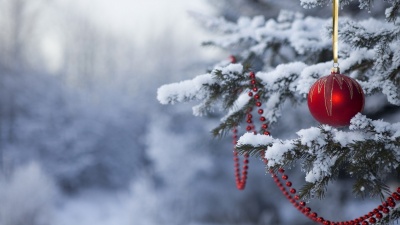 Якою буде погода на Буковині на новорічні свята: прогноз синоптиків