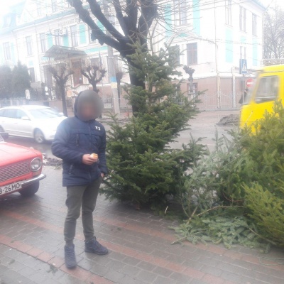 У Чернівцях в останній день року поліція оштрафувала продавців ялинок - фото