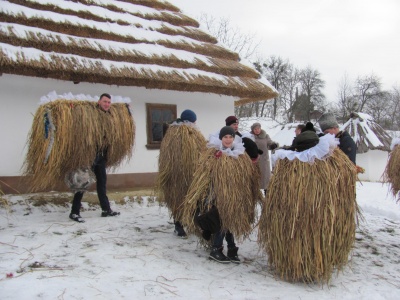 У Чернівцях сотні людей у колі заспівали колядку - фото