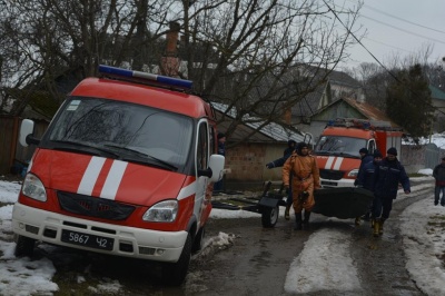 У Чернівцях співробітники ДСНС врятували пораненого лебедя - відео