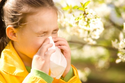 Буковинців попереджають про спалах алергії