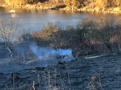 Суху траву на околиці Чернівців могли підпалити - ДСНС