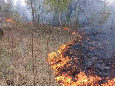 Курйозне відео ремонту проспекту та пошкоджена каналізація. Головні новини Буковини за 6 березня