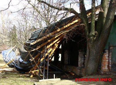 Вітряна негода на Буковині: що відомо на цей час