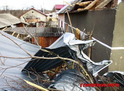 Вітряна негода на Буковині: що відомо на цей час