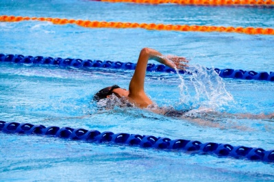 Плавці з Буковини відзначилися на чемпіонаті України