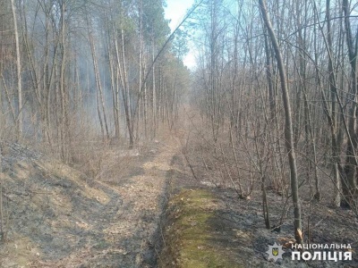 На Буковині рятувальники ліквідували масштабну пожежу в лісі