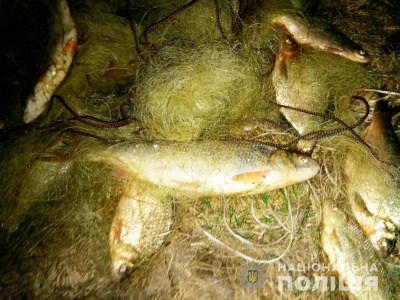 На Буковині затримали браконьєра, який ловив червонокнижну рибу