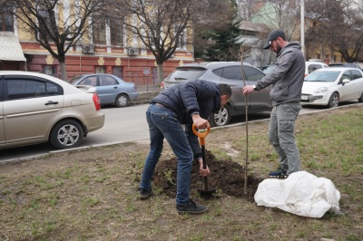 Обшанський посадив дерева на скандальній ділянці в центрі Чернівців 