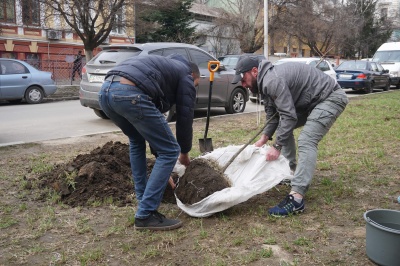 Обшанський посадив дерева на скандальній ділянці в центрі Чернівців 