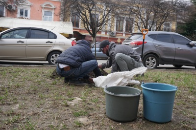 Обшанський посадив дерева на скандальній ділянці в центрі Чернівців 