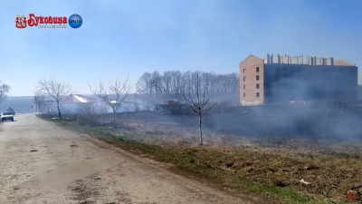 На Буковині через спалювання трави ледь не вибухнула АЗС - відео