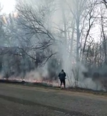 В селі на Буковині вздовж траси загорілась лісосмуга