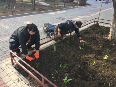 Весняна толока: жителі Чернівців цілими сім’ями виходять на суботники