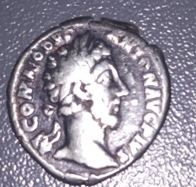 На Буковині митники вилучили старовинні монети з мікроавтобуса, який прямував до Португалії