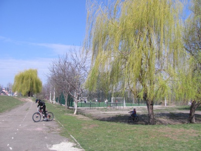 У Чернівцях у шкільному дендропарку зацвіли перші весняні квіти - фото