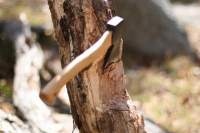 Заготовляв дрова: в лісі на Буковині трагічно загинув чоловік