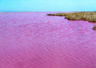 В Австралії одне з озер стало рожевим