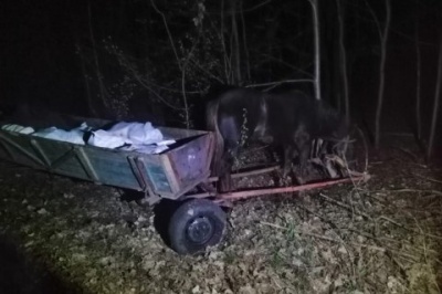 Затримали чоловіків, які везли підводами 800 кілограмів сала в Білорусь