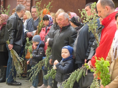 Чернівці святкують Вербну неділю: у церквах освятили вербові гілки – фото