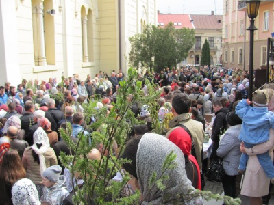 Чернівці святкують Вербну неділю: у церквах освятили вербові гілки – фото