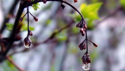 Україну майже тиждень поливатимуть дощі з грозами