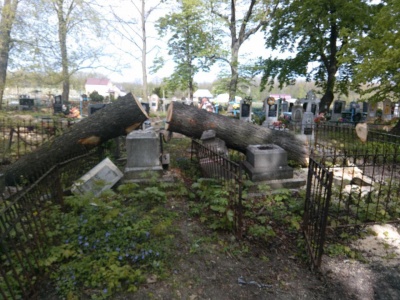У Хотині на кладовищі під час вирубки дерев зруйнували старі надмогильні пам’ятники