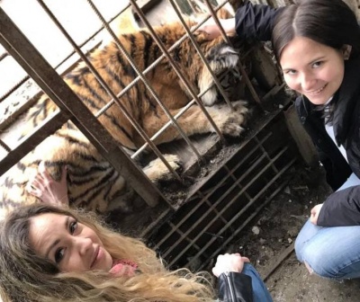 На Буковині волонтери рятували тигрицю у приватному зоопарку