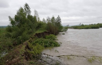 Паводок на Буковині: що відомо на цей час