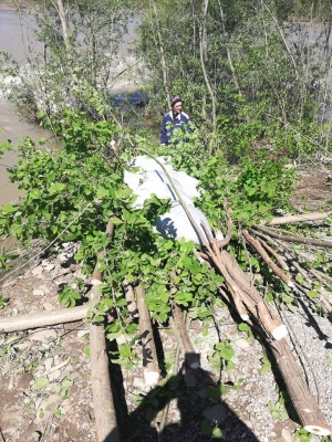 На Вижниччині продовжують укріплювати дамбу, яку розмив паводок на Черемоші – фото