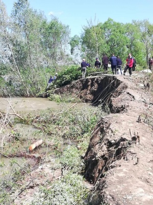 На Вижниччині продовжують укріплювати дамбу, яку розмив паводок на Черемоші – фото