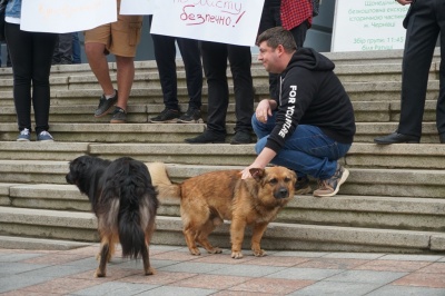 «Собаки не винні»: під мерією Чернівців влаштували два пікети через безпритульних тварин - фото
