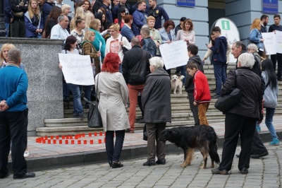 «Собаки не винні»: під мерією Чернівців влаштували два пікети через безпритульних тварин - фото