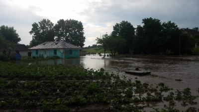 У Тернопільській області річка затопила село: вода протікала вулицями – відео