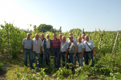 Нові сорти виноградів та експериментальні господарства: на Буковині виноградарі обмінювалися досвідом